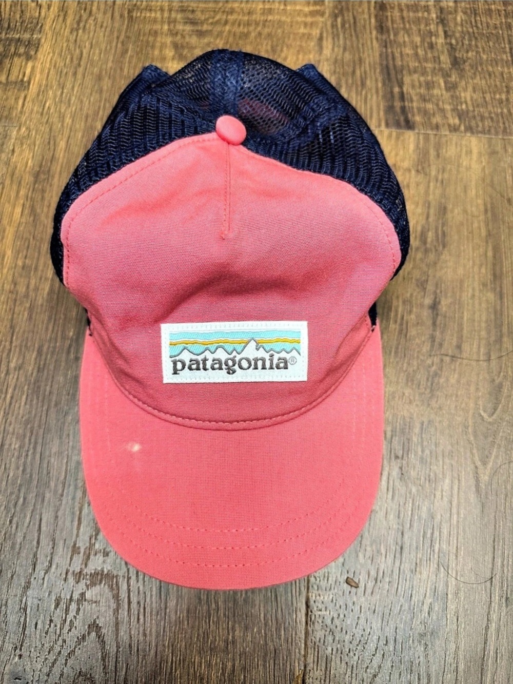 Patagonia Fitz Roy Horizons Trucker Hat Pink & Blue